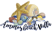 Ammos Beach Villa logo